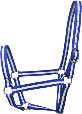 KTE Halter Horse Bridle(For  Horse blue/white)