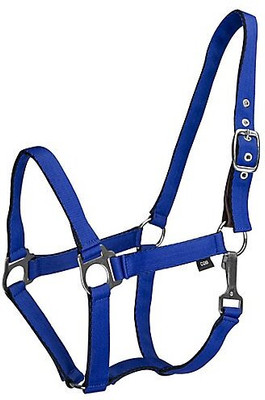 BLESSING PET PRODUCT Halter Horse Bridle(For  Horse BLUE)
