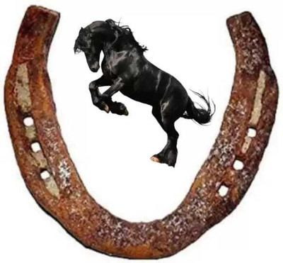 Berua Horse Shoe Ring