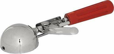 Nexshop ™Fruit Ice Cream Scoop Spoon With Plastic Handle Stainless Steel, Plastic Ice-cream Spoon(Pack of 1)