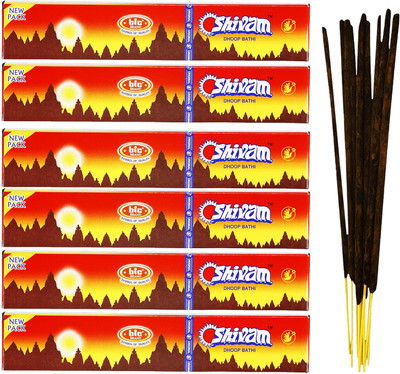 RONAK Box Pack of 6 (10 Stick Per Pack) Panchavati Shivam Agarbatti Incense Sticks Scented(10 Units, Set of 6)
