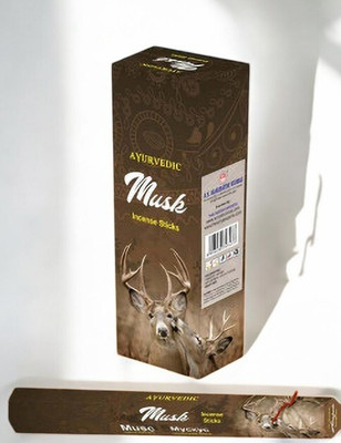 Darshan Lucky Coins Incense Stick Musk(20 g, Set of 1)