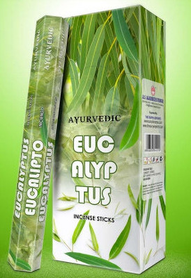 auvedic Shivansh Eucalyptus Incense Stick Eucalyptus(20 Units, Set of 6)