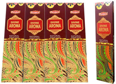 TRIDEV Divine Aroma Incense Stick Pack 6 Divine Aroma(10 Units, Set of 6)
