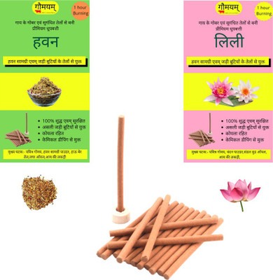 Gaumayam 2 IN 1 HAVAN - LILY Dhoop 100 Premium Organic Dhoop Sticks Herbal Dhoop batti Natural Panchgavya Dhoop Incense with Incense holder Bambooless Charcoal Free(100 Units, Set of 1)