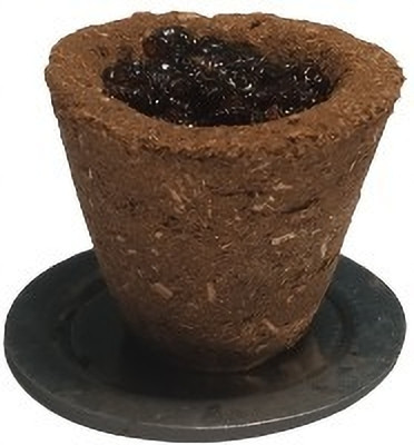 AnjanaDecor Pure Desi Gau Cup Sambrani made with Cow Dung for Daily Puja (12 Cups) Guggul Dhoop