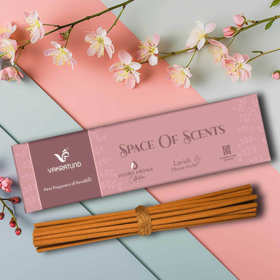 Rudra Box Pack of 1 (95 Sticks Per Box) Vakratund Space of Scents Dhoop Stick Scented(95, Set of 1)