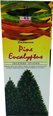 Darshan Fragrance Pine Encalyptus Pine Eucalyptus(90, Set of 6)