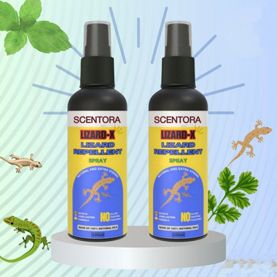 SCENTORA Powerful Spray With Instant Action, Long Lasting Natural Fragnance Organic(2 x 100 ml)