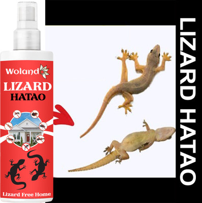 REGLET Lizard Hatao Guaranteed Bug killer effect Powerfull(100 ml)