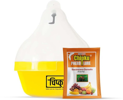 Chipku Max Plus Pheromone Fruit Fly Trap with Fruit Fly pheromone Lure Pack Of 5(5 x 1 Units)