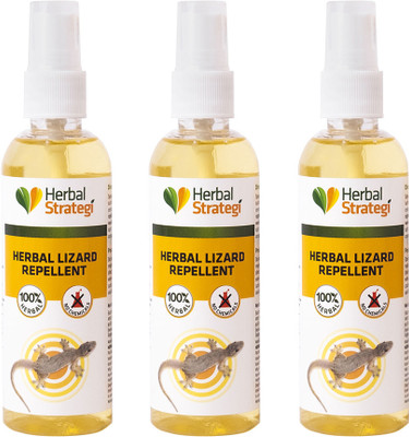 HERBAL STRATEGI Lizard Repellent Spray - Non-Toxic, Lizard Repellent, Not a Lizard Killer(3 x 100 ml)