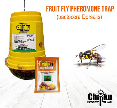 Chipku GLASS TRAP WITH FRUIT FLY PACK OF 5(5 x 1 Units)