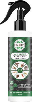 HASPER All-in-One Insect Repellent Spray – For Bed bugs, Rat, Ants, Lizards (250 ML)(1 Units)