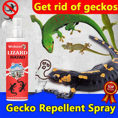 Sandarbh Lizard Hatao killer effect Powerfull Chemical Free(100 ml)