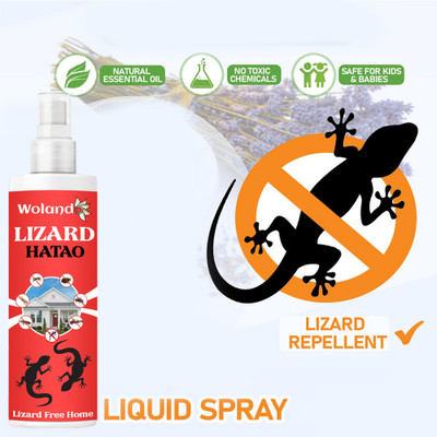 REGLET Lizard Hatao Bug Repellent, Instant Action, Chemical Free(100 ml)