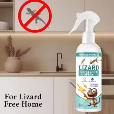 louzysafe lizard killer| lizard spray|lizard killer spray|lizard repellent spray(250.7 ml)