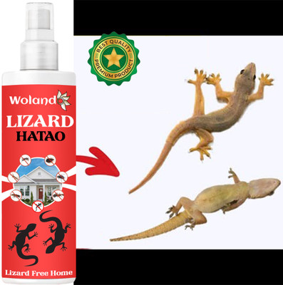 INDO CHALLENGE Lizard Hatao Guaranteed Chemical Free effect easy to use(100 ml)