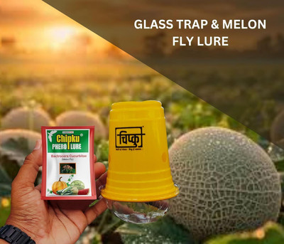 Chipku Glass Trap with Melon Fly Lure for Melon Cucurbita Guard All Vegetable Pack of 2(2 x 1 Units)