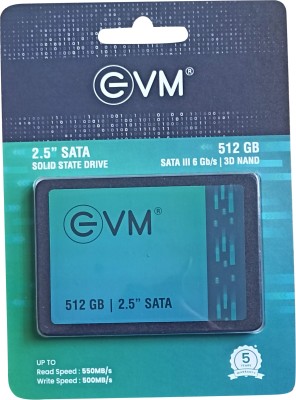 EVM SATA 512 GB Laptop, Desktop, All in One PC's Internal Solid State Drive (SSD) (SSD Internal Hard Disk SATA)(Interface: SATA III, Form Factor: 2.5 Inch)