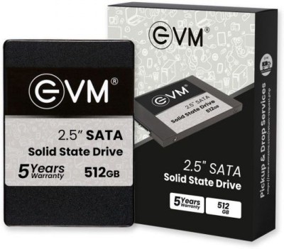 EVM SSD 512 GB All in One PC's, Desktop, Laptop Internal Solid State Drive (SSD) (SSD 512GB 2.5 SATA)(Interface: SATA, Form Factor: 2.5 Inch)