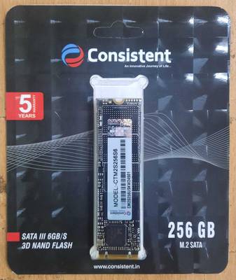 Consistent M.2 256 GB All in One PC's, Desktop, Laptop Internal Solid State Drive (SSD) (256GB M.2)
