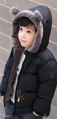 Jammy & Kammo Full Sleeve Solid Boys & Girls Jacket