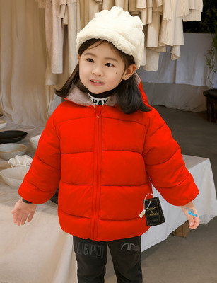 Jammy & Kammo Full Sleeve Self Design Boys & Girls Jacket