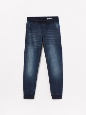 Fame Forever by Lifestyle Regular Boys Blue Jeans