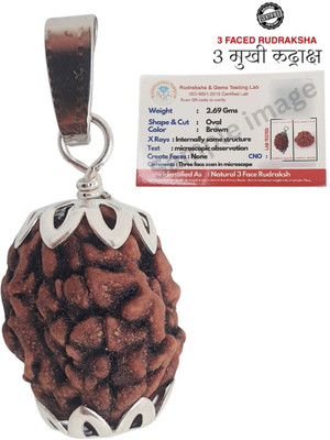 BHAKTI CHIMES 3 Mukhi/face teenmukhi Rudraksha Nepali with Lab Certificate Brass Yantra(Pack of 1)