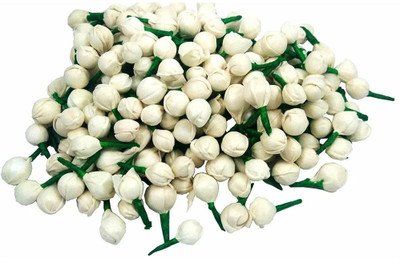 DENICRAAS Jasmine small white mogra buds 100pcs Jewelry Design Template(Pack of 100)