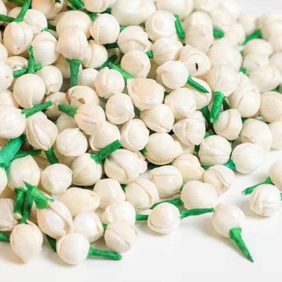 DENICRAAS White Mini Mogra buds Jewelry Design Template(Pack of 100)