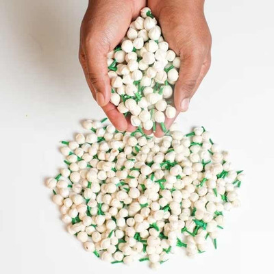 DENICRAAS Jasmine small white mogra buds Jewelry Design Template(Pack of 500)