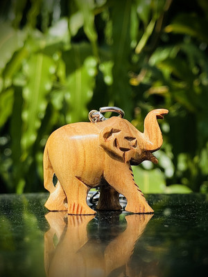 ANAWARIYAS Elephant keychain-2 Key Chain