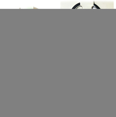 Meeko.com AdiYogi (Lord Shiva ) and OM metal key chain Key Chain