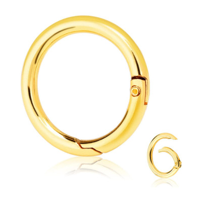 Tia Purse Bags Making Clasp,Lobster,Clips (Golden Premium Spring Ring-20mm, 4 Pcs) Key Chain