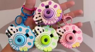 JAINSON MARTIN Get any One Random Panda Projection camera keychain Key Chain