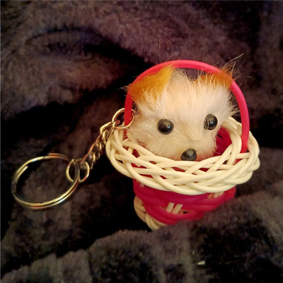 Ekayaa Enterprise 102 Cat_ Teddy_ Keyring Key Chain