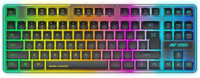 Ant Esports MK720 Pro V2 Wireless Standard Gaming Keyboard Compatible with Desktop, Laptop, Mac(Black)