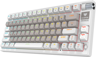 EvoFox Ronin TKL Wireless