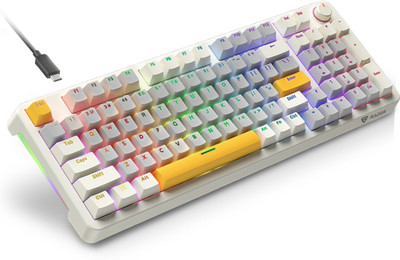 RAEGR MechGear X100 Mechanical Gaming Keyboard, 98 Keys , Rainbow Backlit Wired USB Standard Gaming Keyboard Compatible with Laptop, Desktop(Retro Cream&Grey)