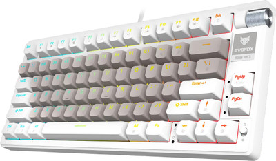 EVOFOX Ronin TKL RGB Mechanical Wired USB Tenkeyless Gaming Keyboard Compatible with Desktop, Laptop, Mac(White)