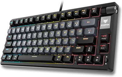 EVOFOX Ronin TKL RGB Mechanical Wired USB Tenkeyless Gaming Keyboard Compatible with Desktop, Laptop, Mac(Black)