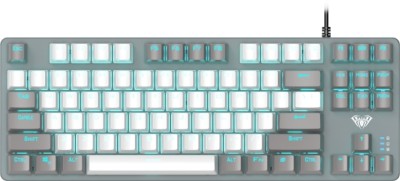 Aula F3287 Mechanical / Rainbow Backlight, Anti-ghosting, Blue switch, TKL Wired USB Gaming Keyboard(Grey, White)