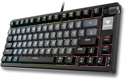 EVOFOX Ronin TKL RGB Mechanical Wired USB Tenkeyless Gaming Keyboard Compatible with Desktop, Laptop, Mac(Black)