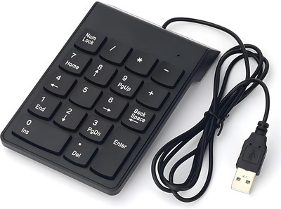 RyzCare Wired Number Keyboard Slim Mini Numeric keyboard pad 18 Keys Wired USB Handheld Laptop Keyboard Compatible with Desktop, Laptop, Mac(Black)