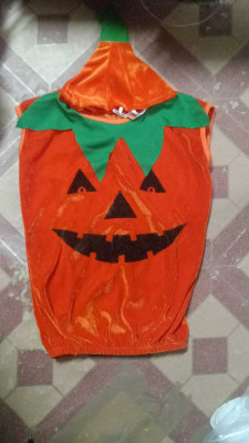 Vartanu Pumpkin costume Kids Costume Wear