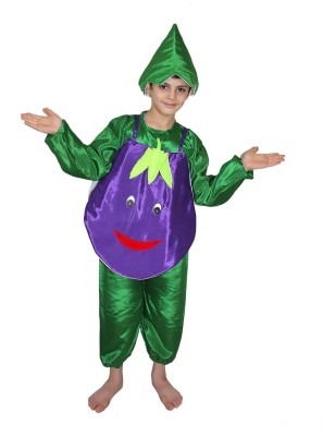 KAKU FANCY DRESSES Vegetable Costume Brinjal Dress for Boys & Girls -Purple & Green, Freesize Years Kids Costume Wear