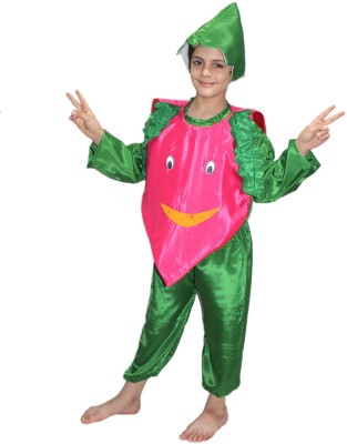 KAKU FANCY DRESSES Vegetable Costume Onion Dress for Boys & Girls - Magenta & Green, 10-11 Years Kids Costume Wear