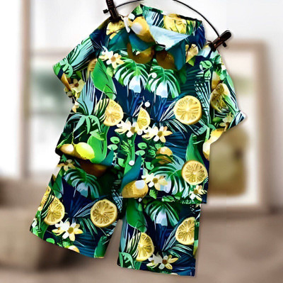 HouseOfCommon Baby Boys & Baby Girls Party(Festive) Shirt Shorts(Green)